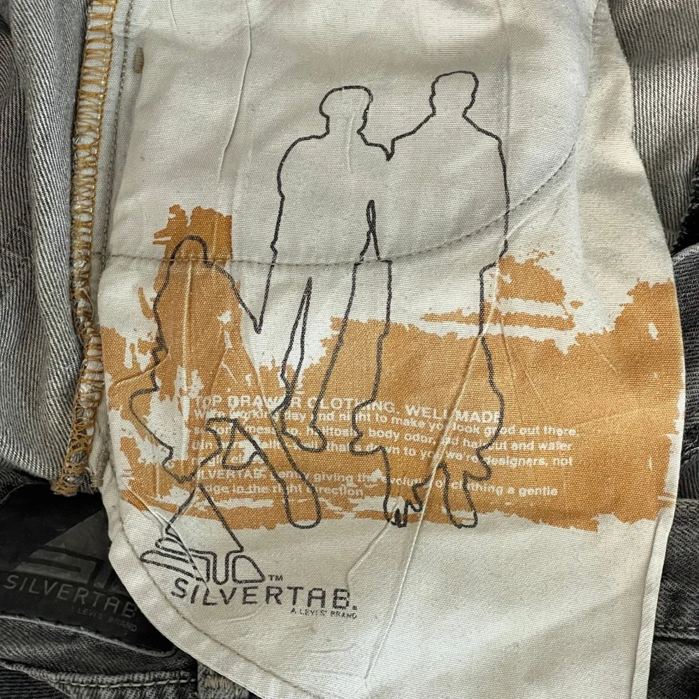 Levis levi silvertab